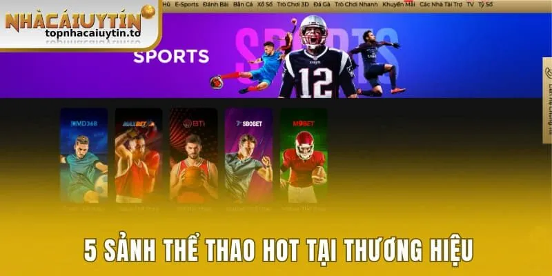 5 sảnh thể thao hot tại thương hiệu