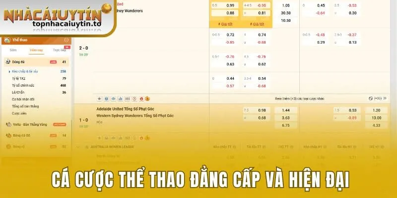 Cá cược thể thao đẳng cấp và hiện đại