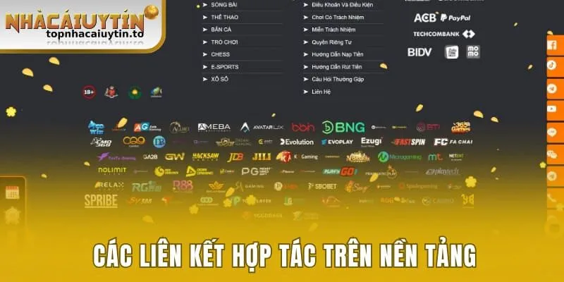 Các liên kết hợp tác trên nền tảng