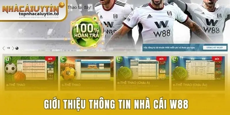Giới thiệu khái quát nhà cái W88