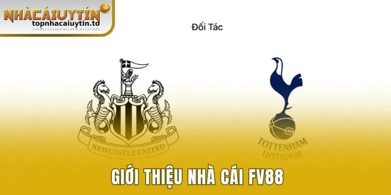 Giới thiệu nhà cái FV88