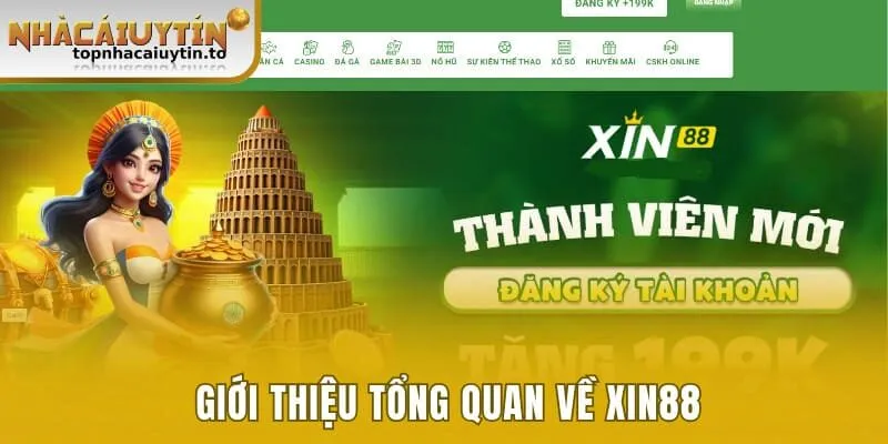 Giới thiệu tổng quan về XIN88