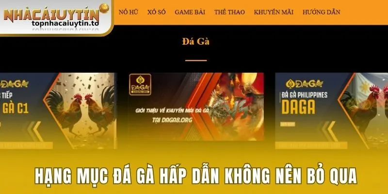 Hạng mục đá gà hấp dẫn không nên bỏ qua