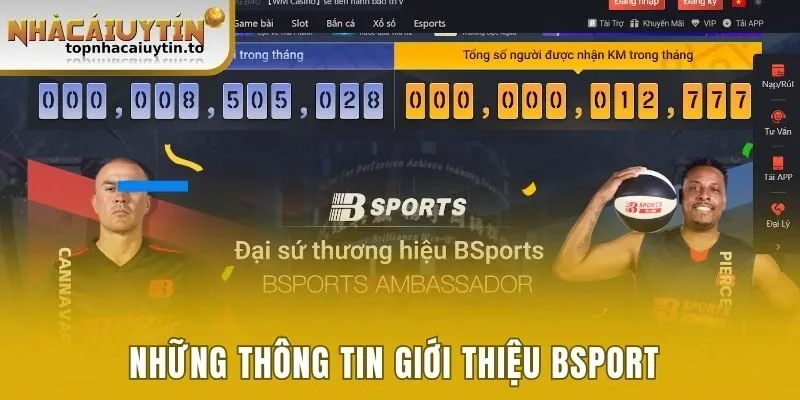 Những thông tin giới thiệu tổng quan Bsport