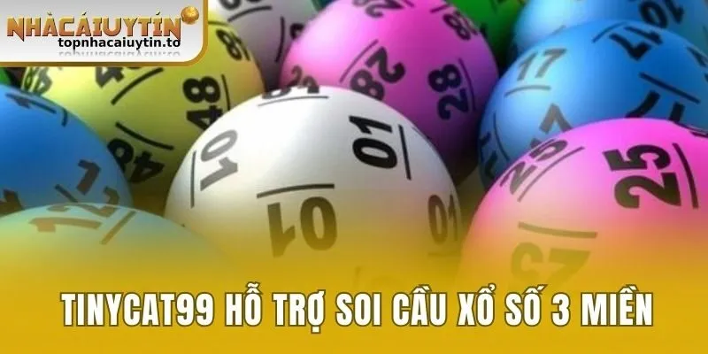 Tinycat99 hỗ trợ soi cầu xổ số 3 miền Bắc Trung Nam chính xác
