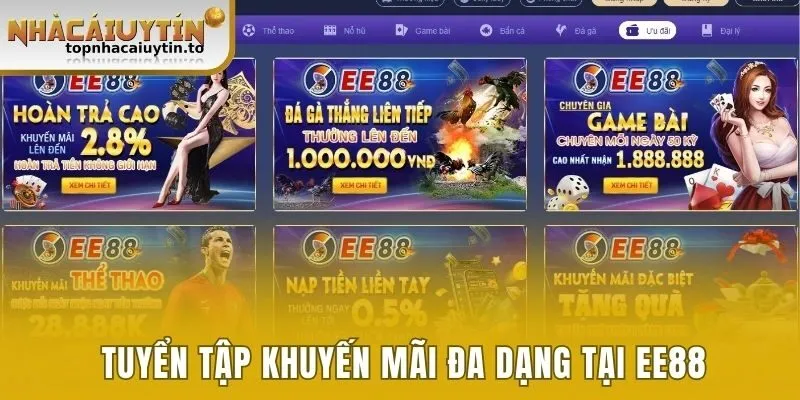 Tuyển tập khuyến mãi đa dạng tại EE88